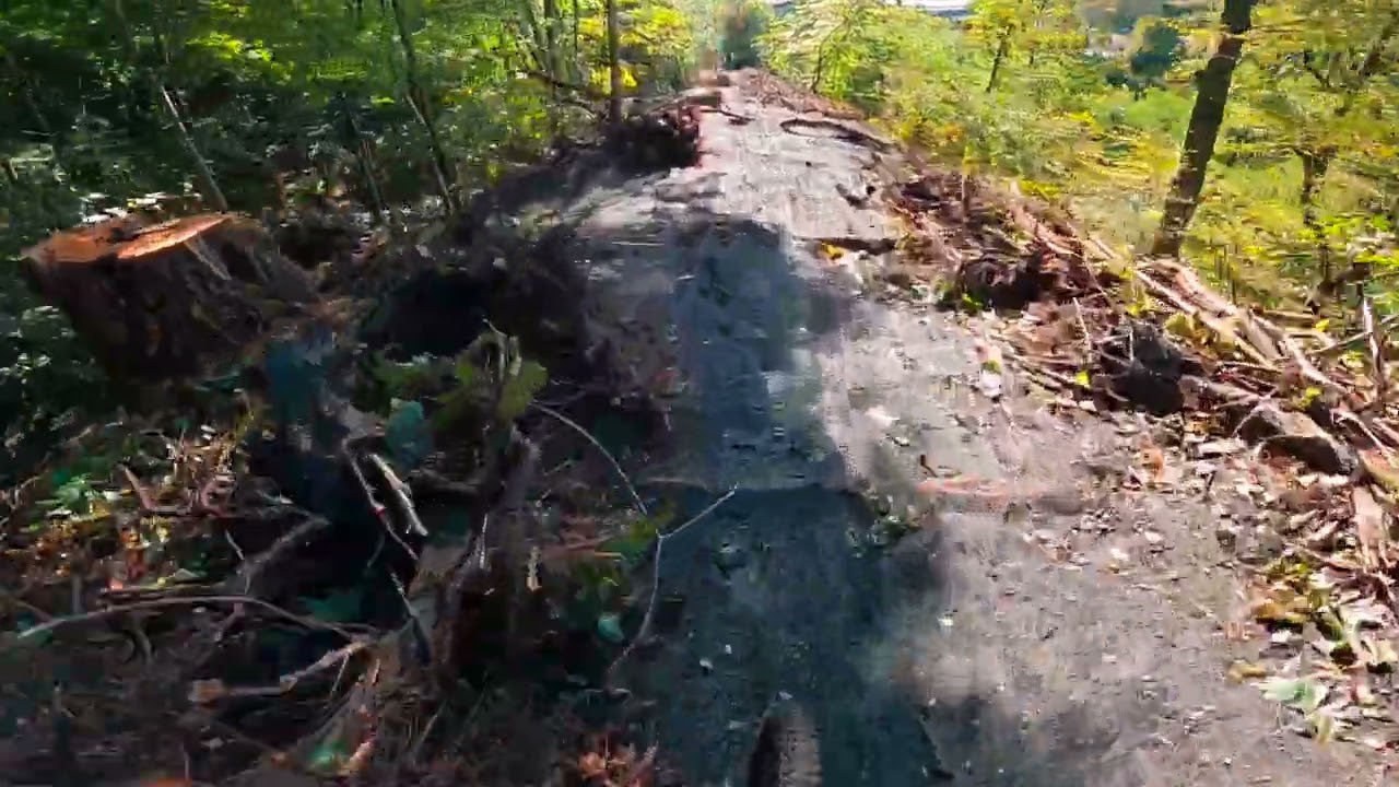 MTB Parkstad gewezen Wortelafdaling