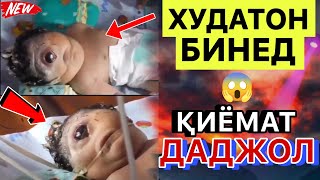 Хочи мирзо 2023. Оё магар ин Даджолай 😱 тавалуд шуд? Худатон бинед!  Хулоса бурорен.