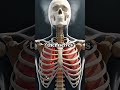 What Happens to Your Body When You Stop Smoking? (Week 1 to Year 1)