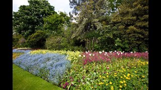 Parterre De Plantas Vivaces Y Anuales - Decogarden - Jardinatis