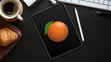 Procreate Drawing - Orange 🍊 - Light and shade