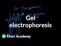 Mastering Gel Electrophoresis: Analyzing DNA Fragment Separation Techniques