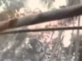 如果失去是苦你还怕不怕付出 Wmv 如果失去是苦你还怕不怕付出 Wmv