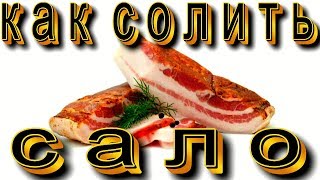 Как правильно солить сало. Вкуснее не бывает. Как правильно солить сало. Вкуснее не бывает.