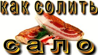 Как правильно солить сало - вкуснее не бывает.Быстрые и простые рецепты для дома.