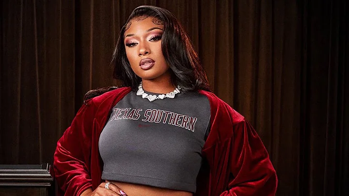 Megan Thee Stallion Accused Of Academic Fraud