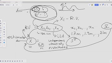 Introduction to Estimation, Bias, Mean Squared Error