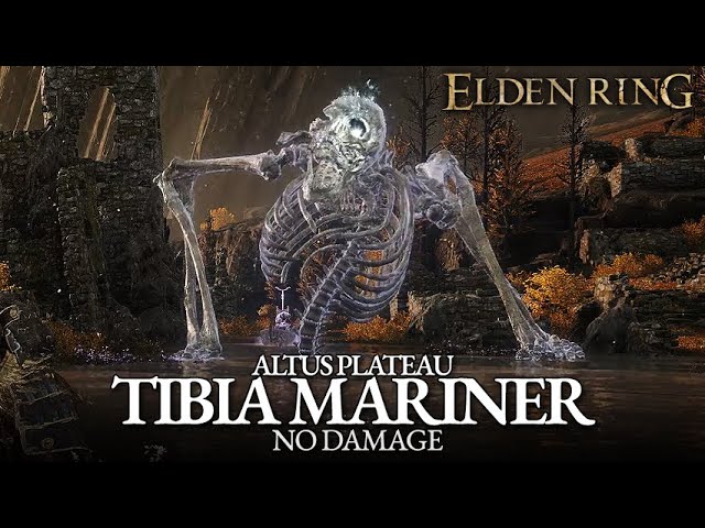 Tibia Mariner Boss Fight (No Damage) - Altus Plateau [Elden Ring