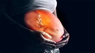 Gravidanza Musica 💛 Musica per lo sviluppo del cervello del nascituro 🧡 screenshot 2