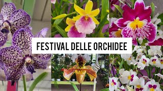 Festival delle Orchidee (2ª parte): paphiopedilum,vanda,miltonia,miltoniopsis, cymbidium! #invited