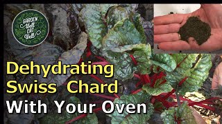 Dehydrate SWISS CHARD For Your Own Vegetable Powder! Even After A Killing Freeze. No Waste!