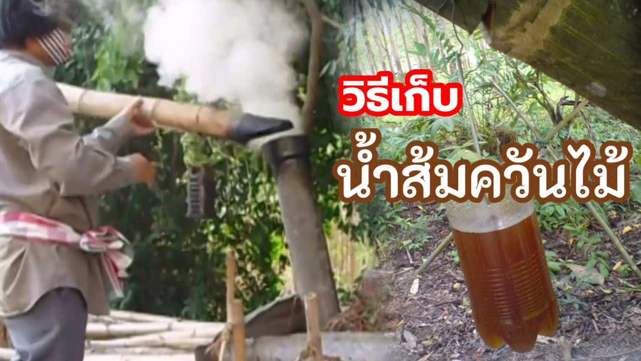 น้ำส้มควันไม้ คืออะไร? มีวิธีทำอย่างไร? อธิบายเข้าใจง่าย | เกษตรกรชาวบ้าน
