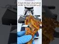 fried chicken leg under the microscope 😯🔬 #shockingfacts #angst