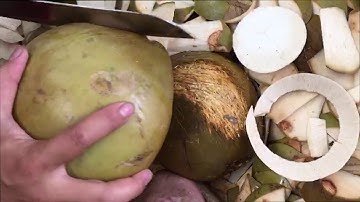 Clip 007 - CÁCH GỌT DỪA KIM CƯƠNG - TRÁI CÂY TRÂN CẦN THƠ