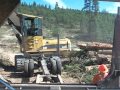 A Truck Load of Logs with Logger Dan