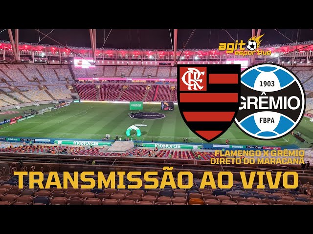 FLAMENGO X GRÊMIO TRANSMISSÃO AO VIVO DIRETO DO MARACANÃ - CAMPEONATO  BRASILEIRO 2023 10ª RODADA 