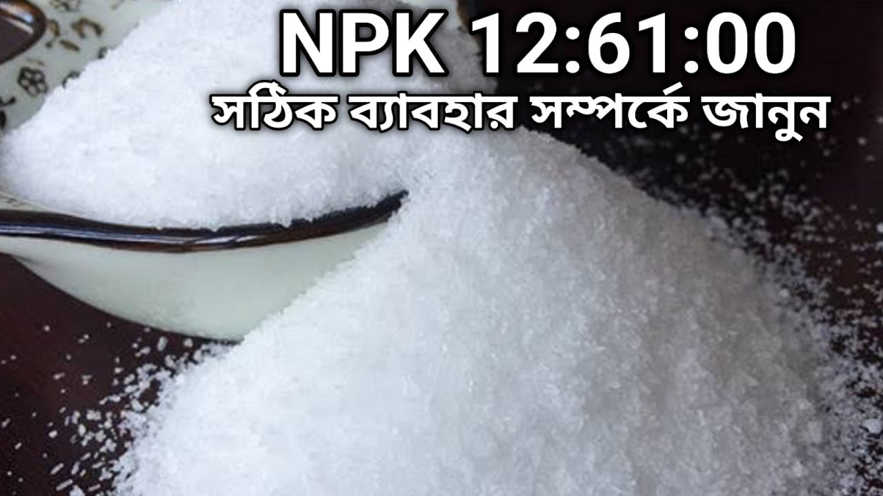 NPK 12 61 00 Fertilizer Use And Benefits Gardening Tips And Tricks npk-12-61-00-fertilizer-use-and-benefits-gardening-tips-and-tricks