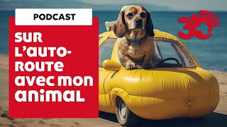 Podcast - Autoroute &amp; animaux