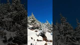 Chalo Dildar Chalo jk360 Snowball nature