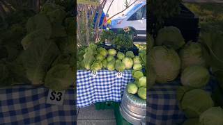 32nd st Farmers Market #baltimorecity #buylocal #fresh #localingredients #localvendors
