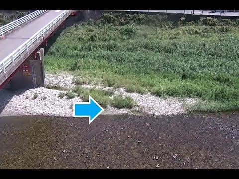 周参見川 望児橋水位観測所 のライブ映像