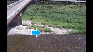 周参見川 望児橋水位観測所 のライブ映像