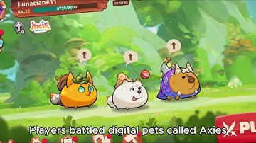 What are NFTs REALLY? The Truth Behind the Hype