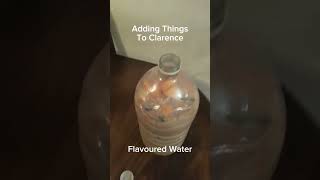 Adding stuff to Clarence pt2 #fyp #foryoupage #funny #funnyvideo #funnyvideos #clarencethebottle