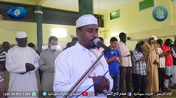 (42) القارئ همام تاج السر | صلاة العشاء وآيات من سورة آل عمران | مسجد الفتح