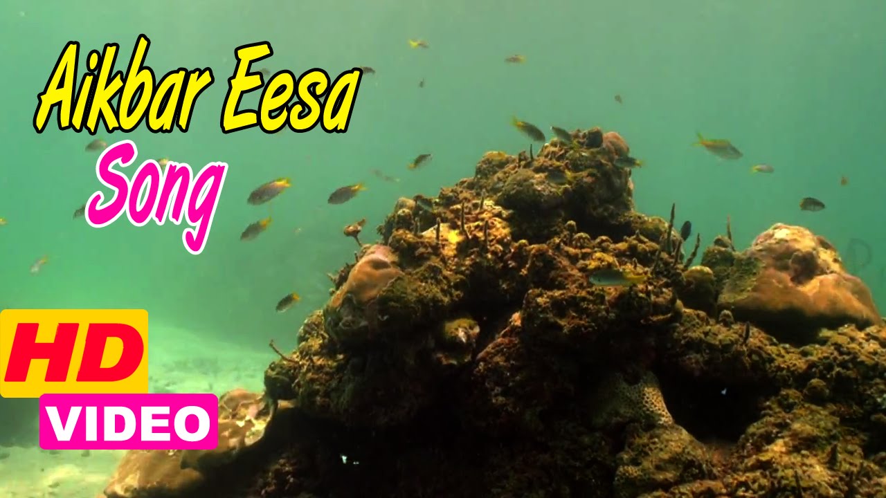 Mosayile Kuthira Meenukal Songs HD | Aikbareesa song | Arun Haridas | Preeti Pillai