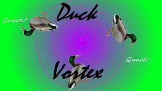 Duck Vortex