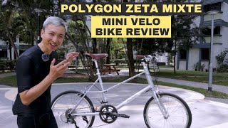 Stylish and fun Mini Velo | Polygon Zeta Mixte Review