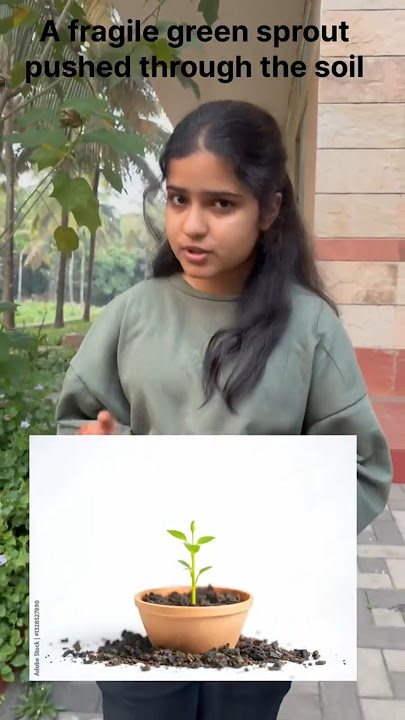 Have long term goals