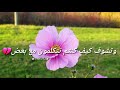 كلام حزين حالات واتس اب حزينه ياهوو شعور يوجع قلب   حالات ستورد حزين جدا   نجومي