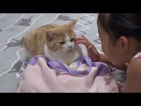 kinyako story - YouTube