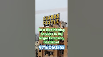 Best Bird Netting Services In Raj Nagar Extension, Ghaziabad । बर्ड नेटिऺग सर्विस राज नगर एक्सटेंशन