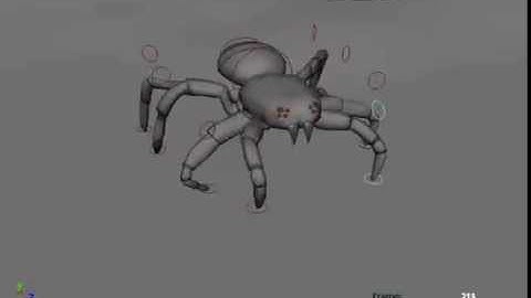 Spider playblast blocking animation