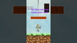 #Minecraft #filtre