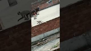 Mangal Murati Ram Dulare Aan Milo