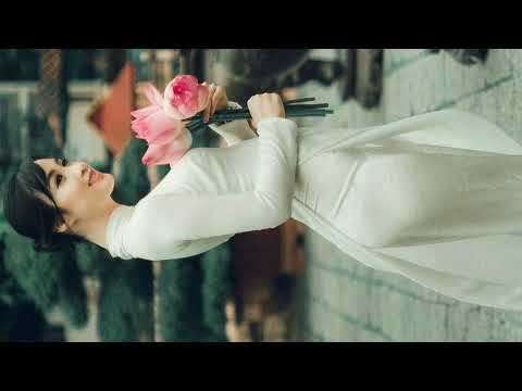 Video video 769 giải tri lồng nhạc dành cho các bạn yêu... - youtube