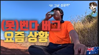 🇦🇺호주VLOG | (돈못)번다버그 | 현재 상황 | 워홀 포기? | 호주농장 | 현실적인 이야기와 현재 하고 있는일