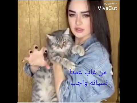 تيك توك صوت الاسد لاتنسوا المتابعة