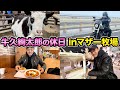 【マザー牧場】牛くんに頭を下げる癖を伝えにきました
