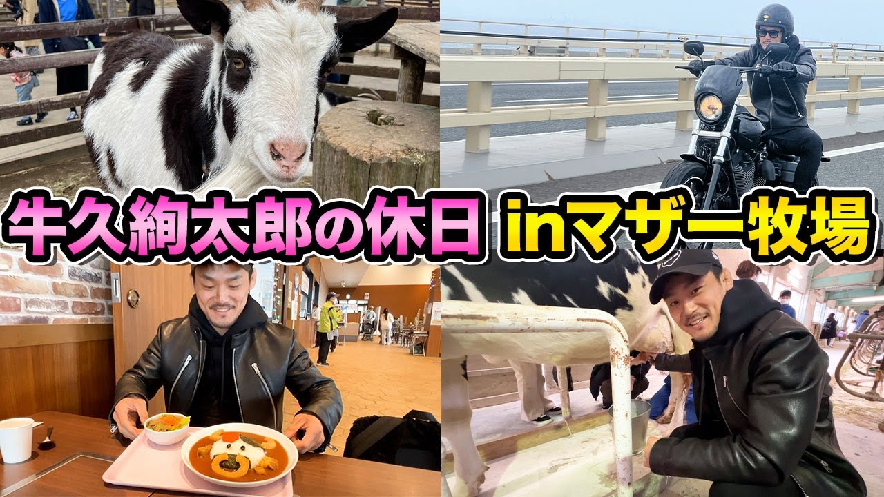 【マザー牧場】牛くんに頭を下げる癖を伝えにきました