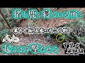 甲斐犬単独猟 第十七話「五感の向こう側」Japanese hunting kaidog