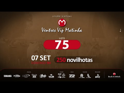 LOTE 75