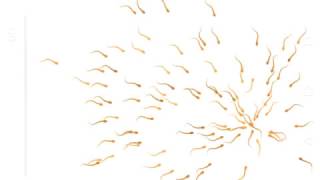 Sperm Wallpaper screenshot 4