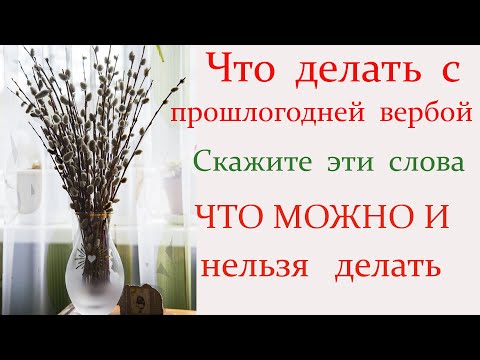 25 апреля Вербное Воскресенье. В чем сила вербы, какие слова сказать в Вербное воскресенье ?