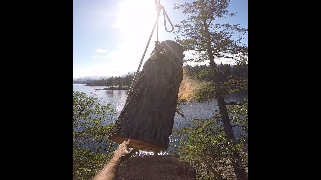 LARGE DEAD TREE REMOVAL , WITH CRANE TRUCK - YouTube