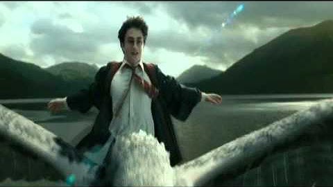 Harry Potter Wizard